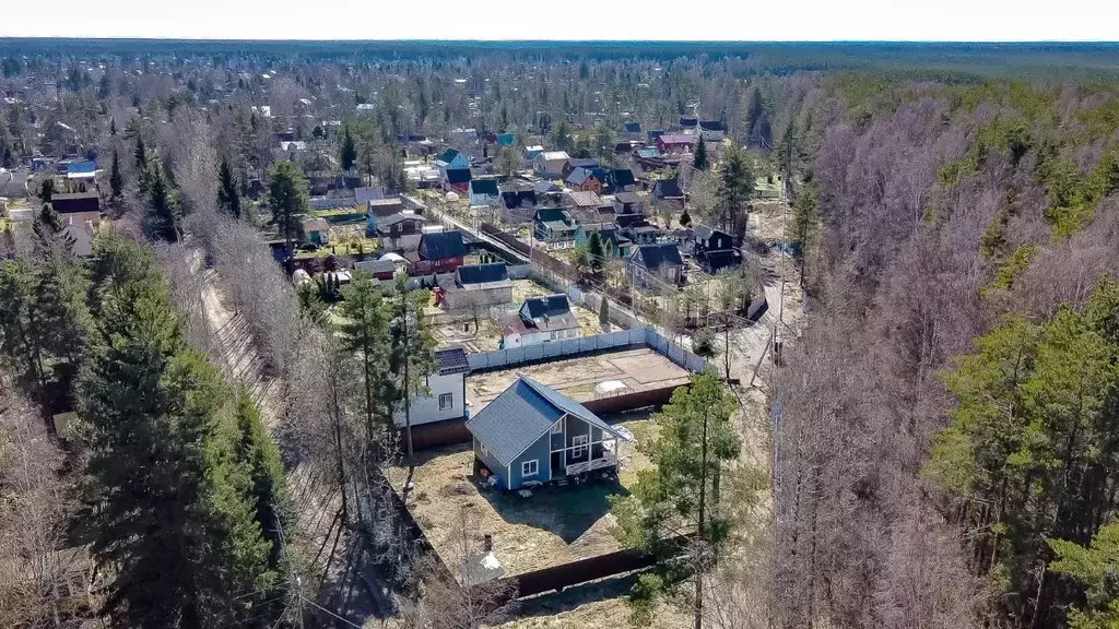 Участок в Ленинградская область, Всеволожский район, Морозовское ... - Фото 0