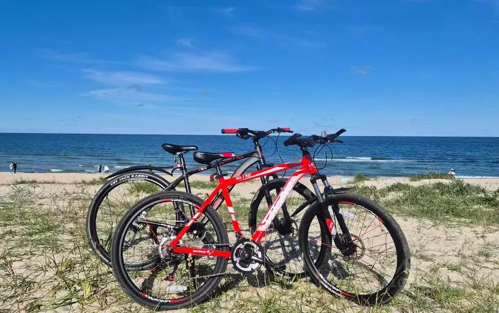 1-к кв. Калининградская область, Зеленоградск ул. Приморская, 31 (44.0 ... - Фото 2