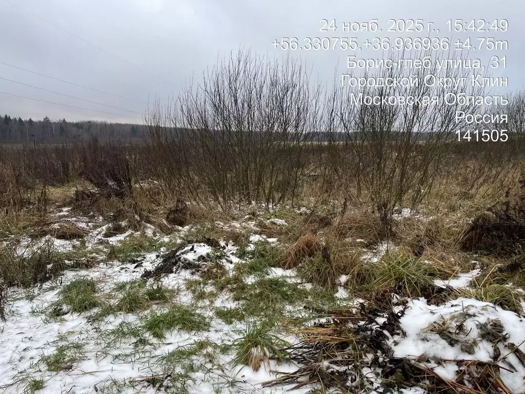 Участок в Московская область, Клин городской округ, д. Борис-Глеб  ... - Фото 2