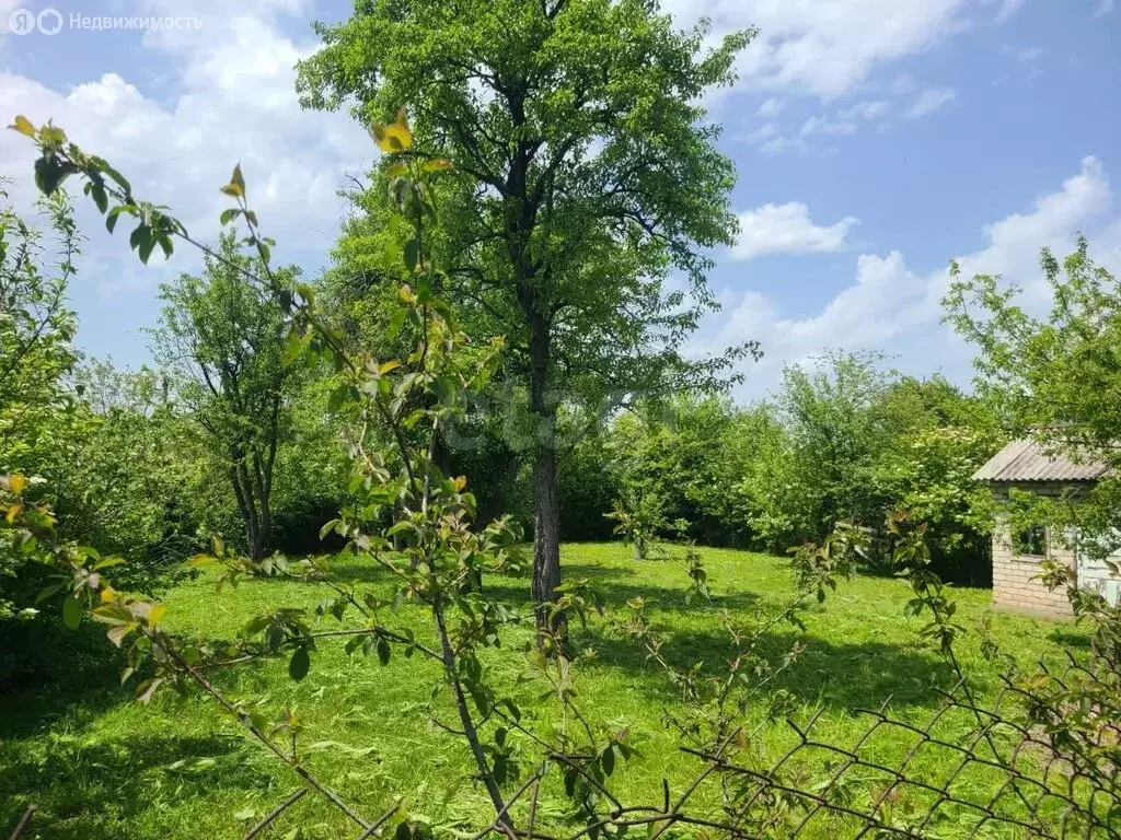 Дом в Черкесск, садовое товарищество Заря (40 м) - Фото 1