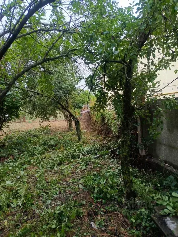 Участок в Волгоградская область, Волгоград ул. Неждановой (6.0 сот.) - Фото 1