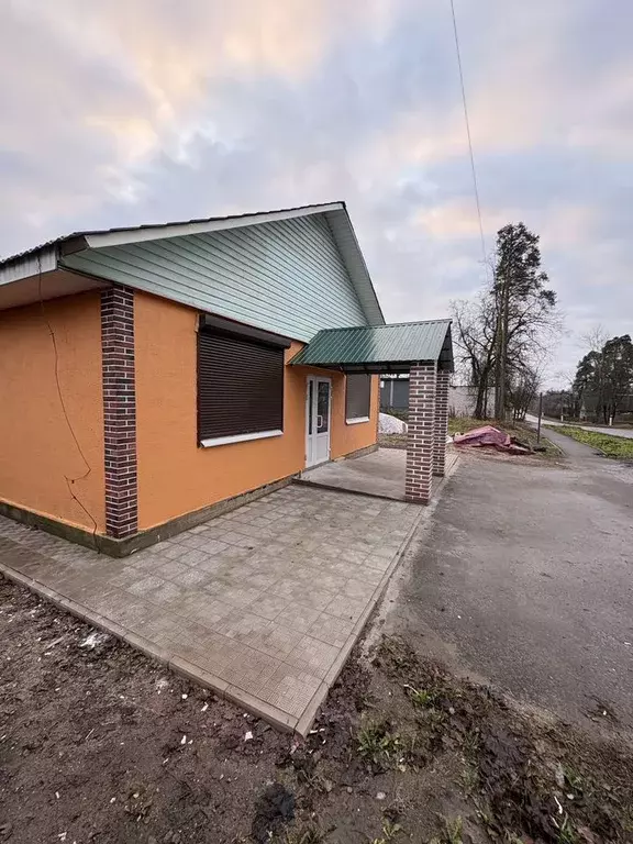 Помещение свободного назначения в Ленинградская область, Луга ул. ... - Фото 1