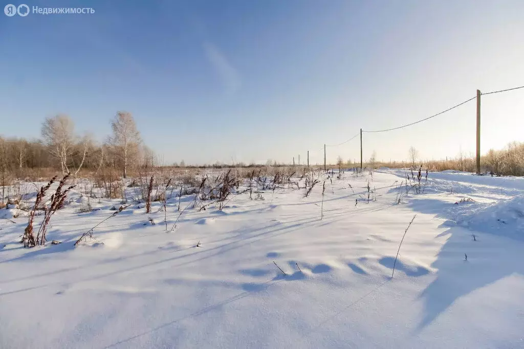 Участок в Тюмень, садовое товарищество Яровское (14.2 м) - Фото 1