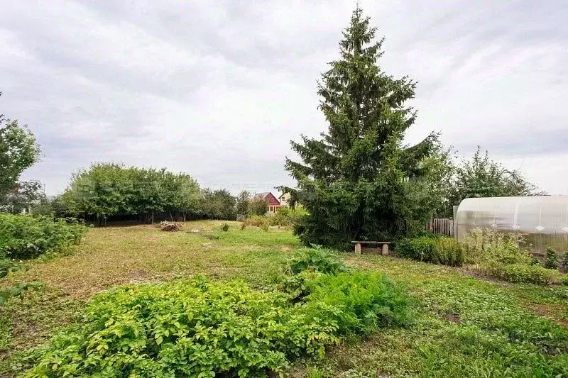 Участок в Татарстан, Лаишевский район, Большекабанское с/пос, с. ... - Фото 2