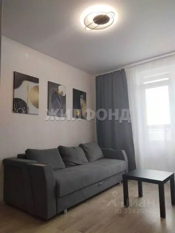 1-к кв. Новосибирская область, Новосибирск ул. Бородина, 54 (33.3 м) - Фото 2