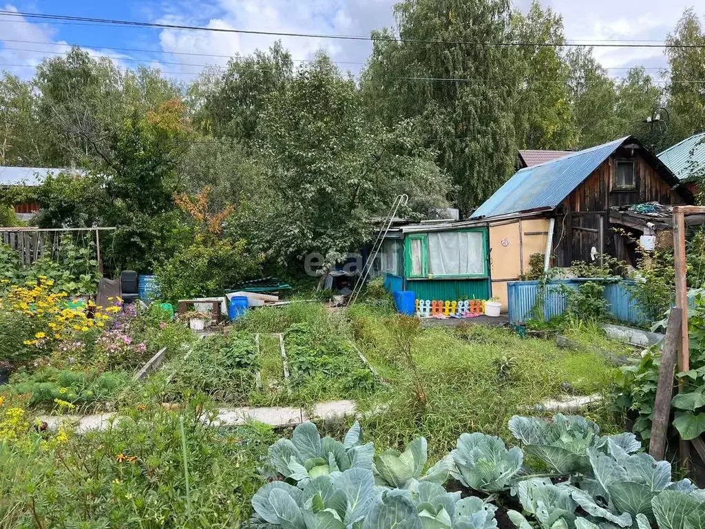 Дом в Тюменская область, Тюмень Осень-1 ТСН, ул. 12-я Дачная (20 м) - Фото 1