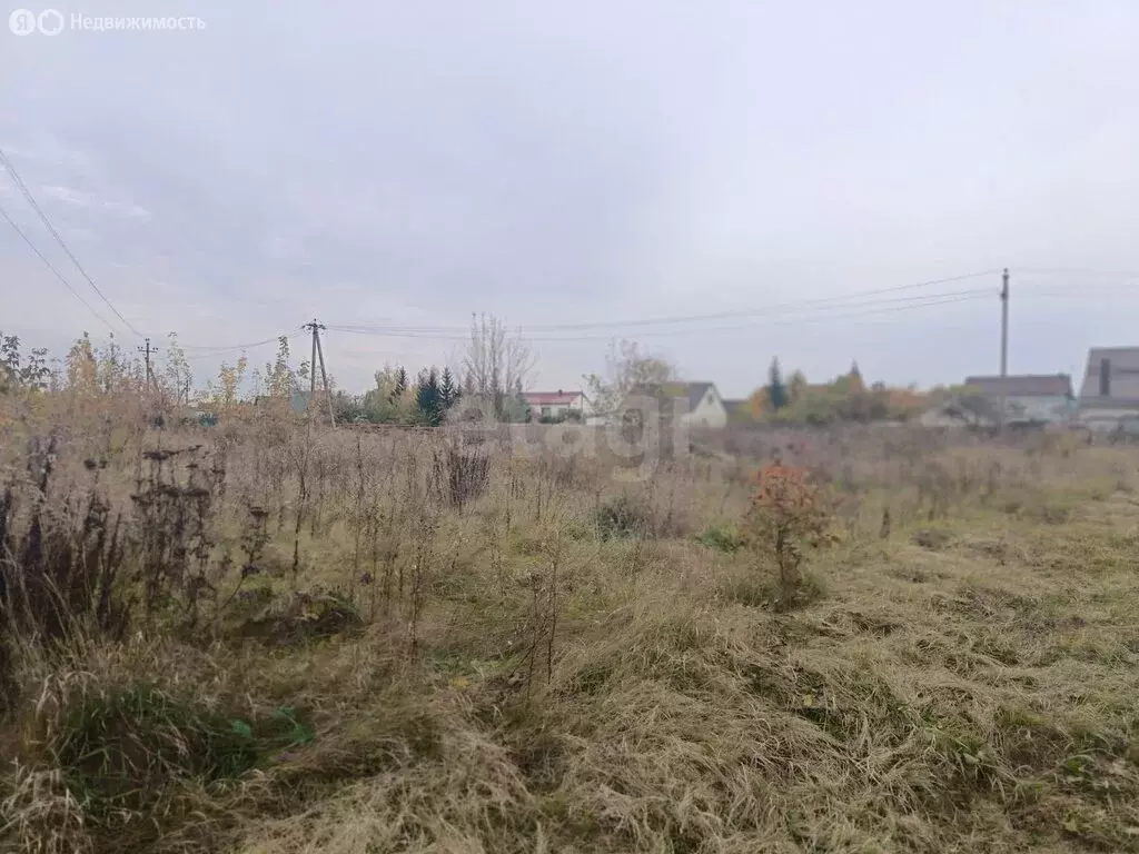 Участок в Орловский муниципальный округ, посёлок Вятский Посад (24 м) - Фото 2