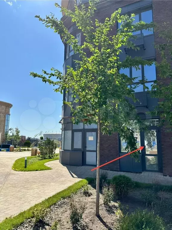 Свободного назначения, 55.7 м - Фото 1