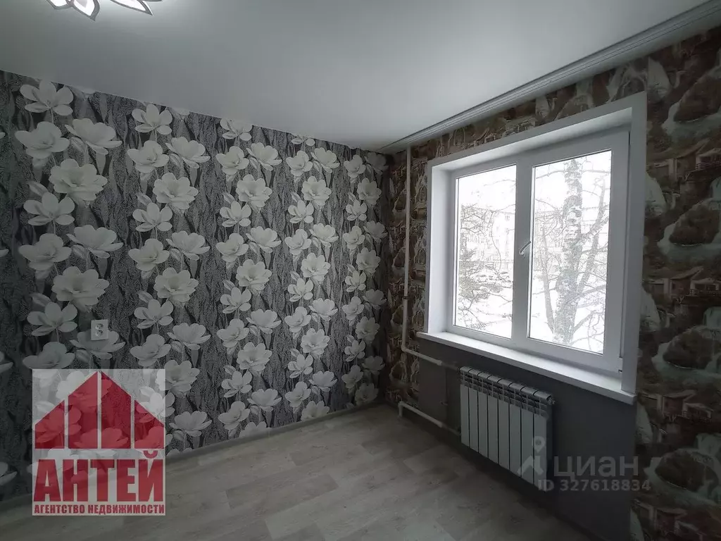 2-к кв. Нижегородская область, Павлово ул. Аллея Ильича, 46 (46.0 м) - Фото 2