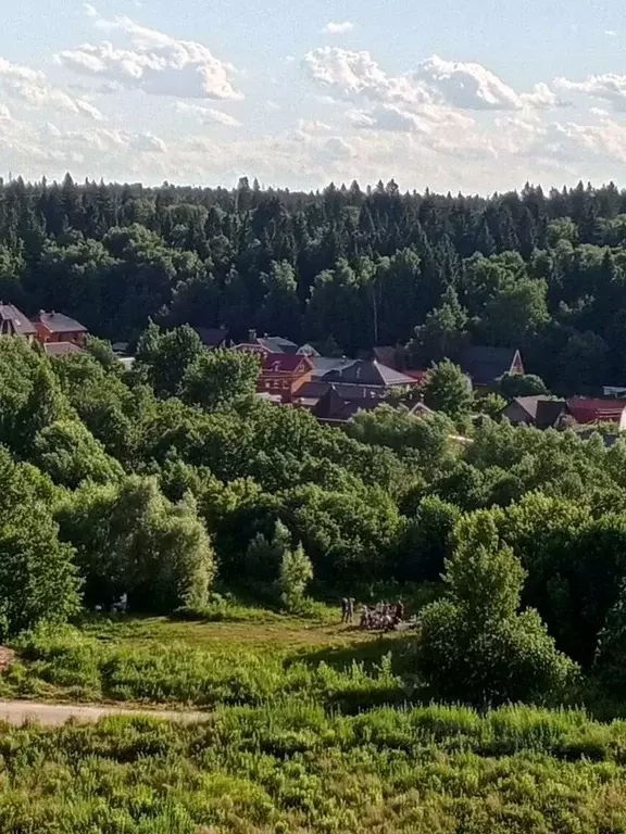 2-к кв. Московская область, Красногорск городской округ, Сабурово пгт ... - Фото 2