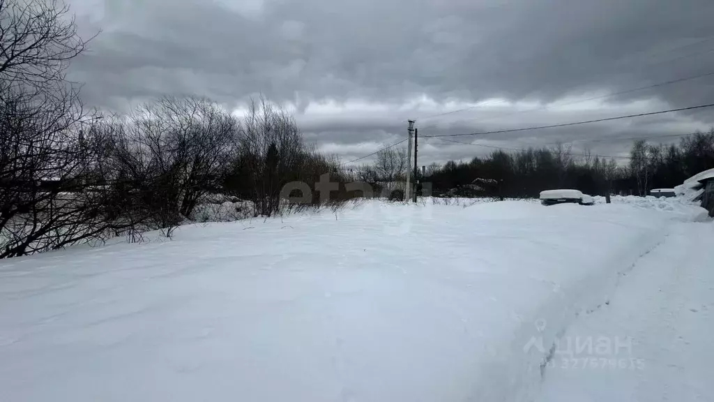 Участок в Владимирская область, Ковровский муниципальный округ, с. ... - Фото 1