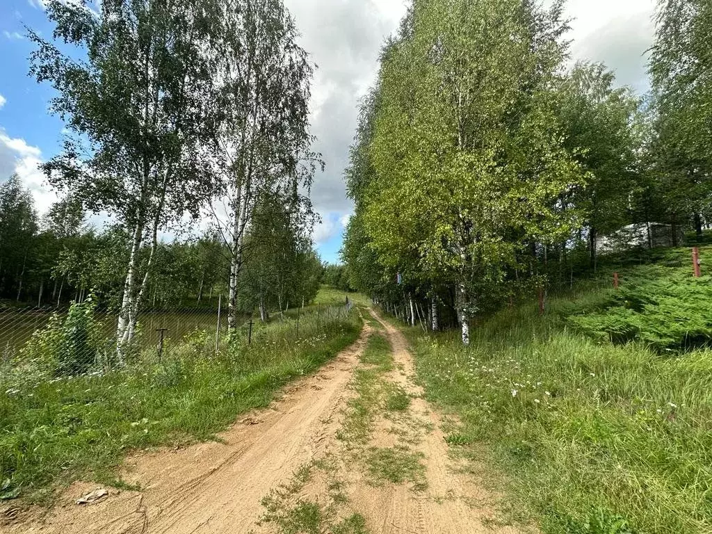 Участок в Ленинградская область, Всеволожский район, Колтушское ... - Фото 0