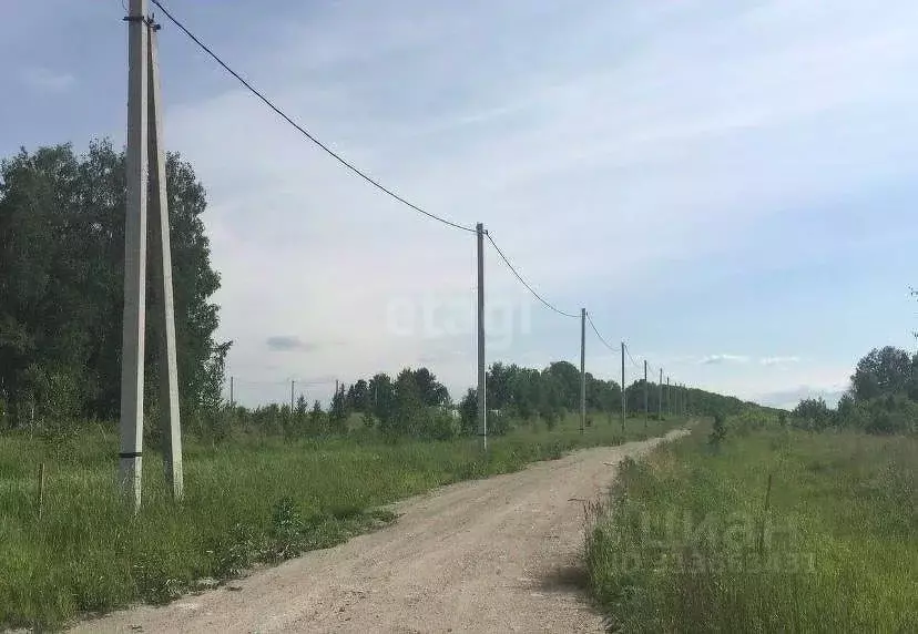 Участок в Новосибирская область, Бердск ул. Радостная (10.0 сот.) - Фото 0