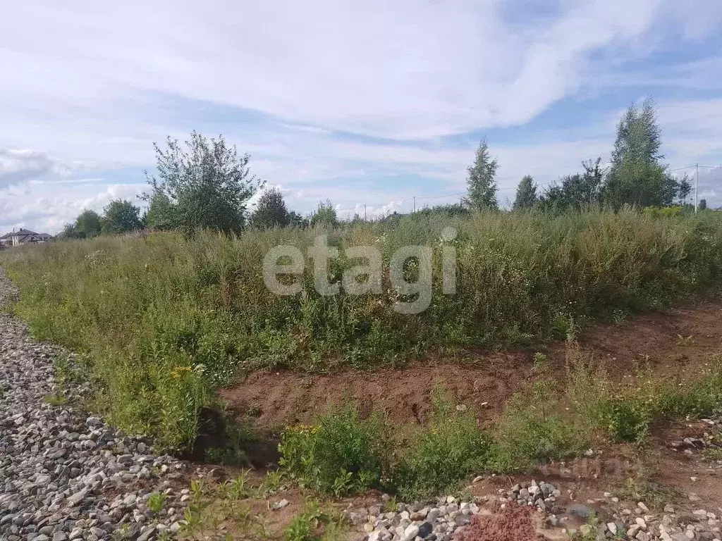 Участок в Костромская область, Кострома Веснянка садоводческое ... - Фото 1