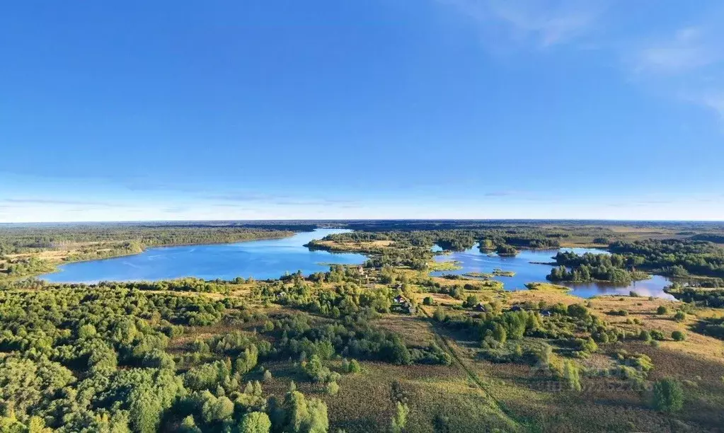 Участок в Тверская область, Вышний Волочек  (99.4 сот.) - Фото 1