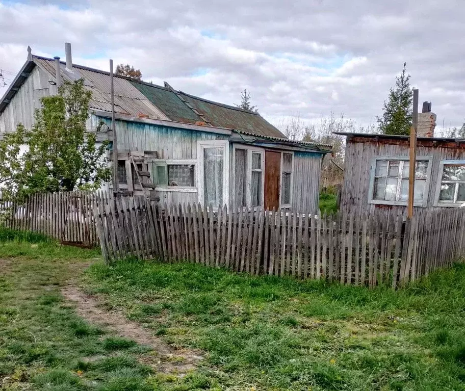 Дом в Омская область, Калачинский район, с. Осокино Школьная ул., 12 ... - Фото 1