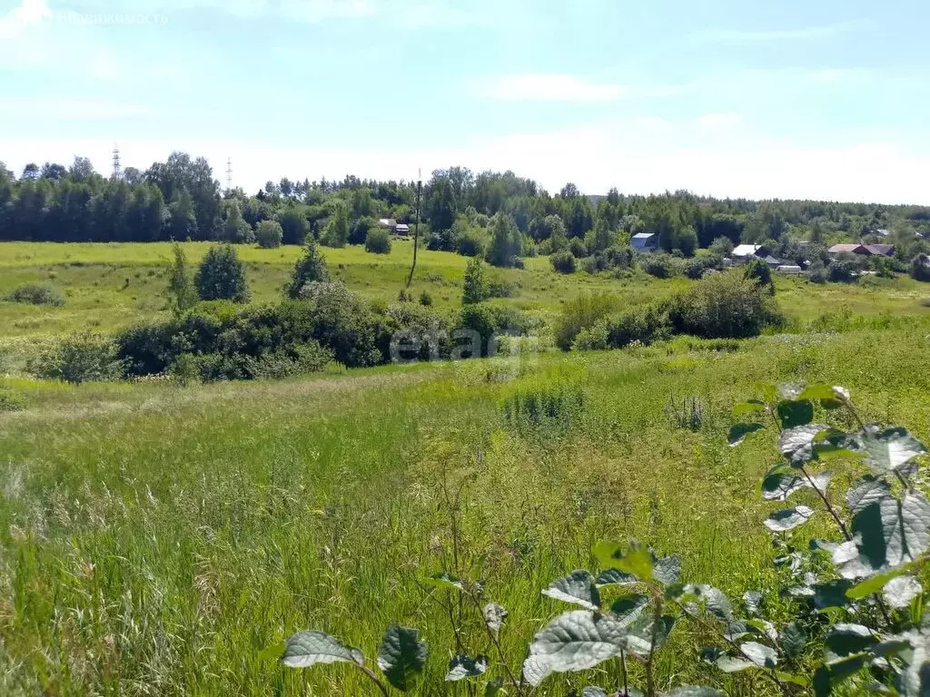 Участок в Нижегородская область, Кстовский муниципальный округ, ... - Фото 1