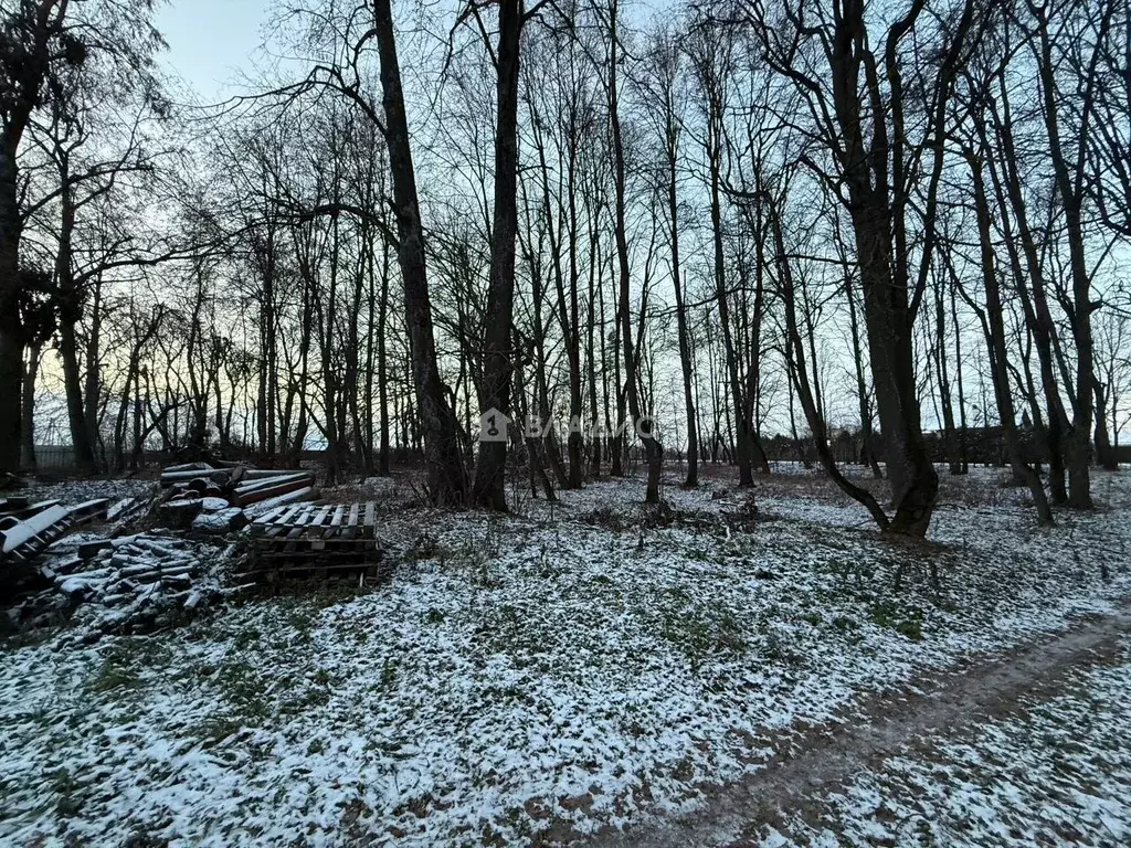 Участок в Московская область, Коломна городской округ, с. Акатьево  ... - Фото 1