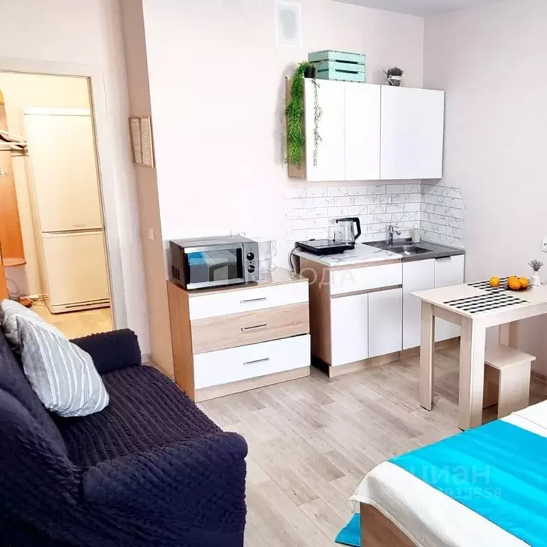 Студия Новосибирская область, Новосибирск ул. Петухова, 162 (24.0 м) - Фото 2