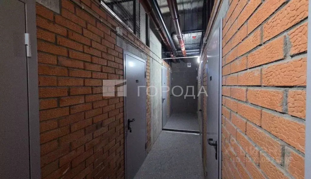 Помещение свободного назначения в Новосибирская область, Новосибирск ... - Фото 1