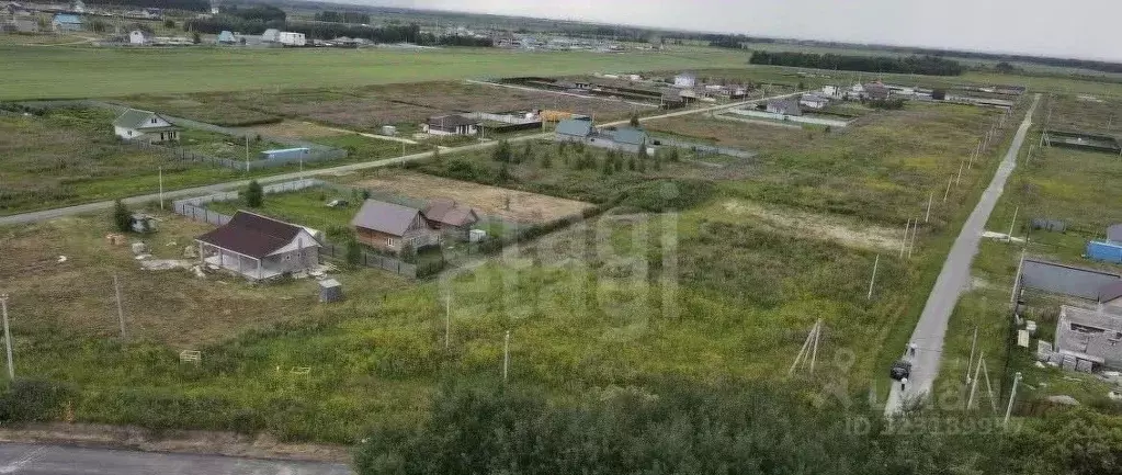 Участок в Тюменская область, Тюменский муниципальный округ, с. Борки ... - Фото 1