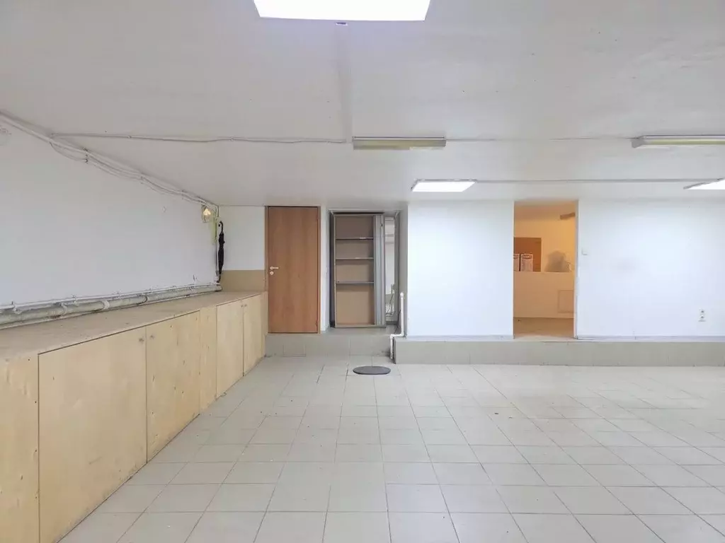 Помещение свободного назначения в Санкт-Петербург Спасский пер., 5 (68 ... - Фото 2