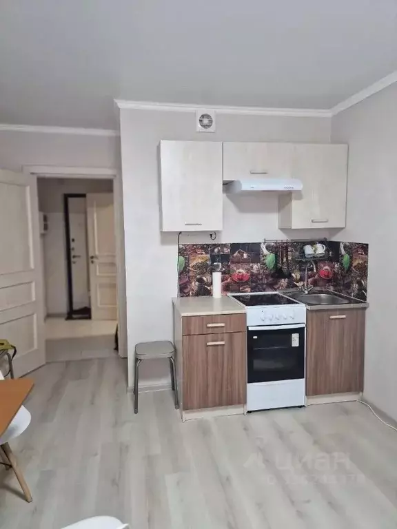 Студия Ленинградская область, Мурино Всеволожский район, аллея ... - Фото 1