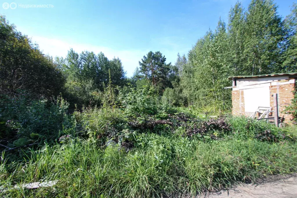 Дом в Башковское сельское поселение, садоводческое товарищество ... - Фото 1