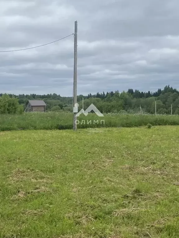Участок в Вологодская область, д. Никулино (Марковский сельсовет)  ... - Фото 1