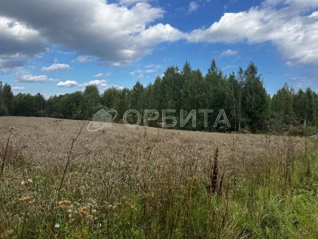 Участок в Тюменская область, Тюмень  (73.7 сот.) - Фото 2