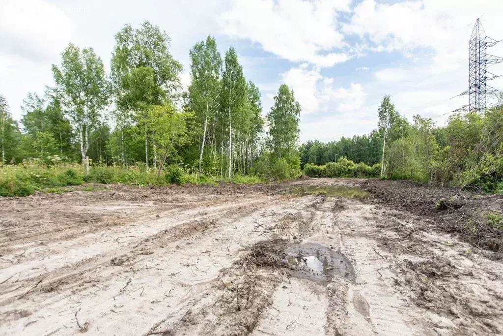 Участок в Тобольск, Красная площадь (10 м) - Фото 2