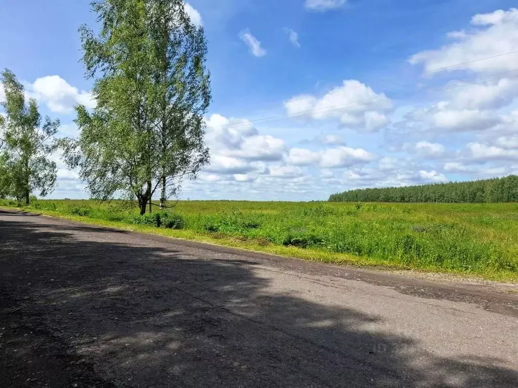 Участок в Владимирская область, Киржачский муниципальный округ, д. ... - Фото 2