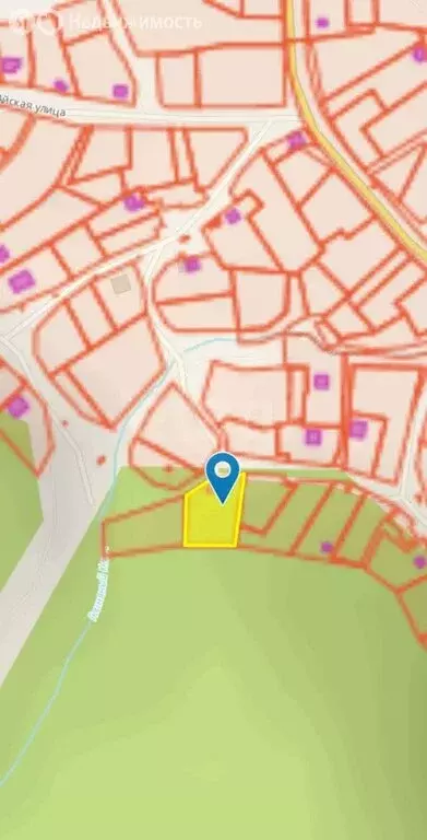 Участок в Алтайский район, Айский сельсовет, село Ая (20 м) - Фото 2