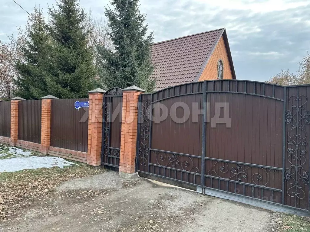 Дом в Новосибирская область, Новосибирский район, с. Боровое ул. Мира ... - Фото 2