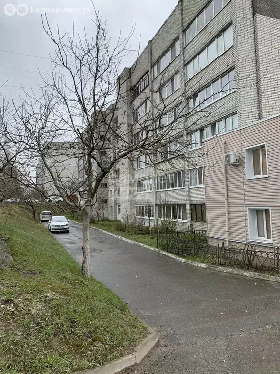 2-комнатная квартира: Брянск, проспект Станке Димитрова, 55В (49 м) - Фото 2