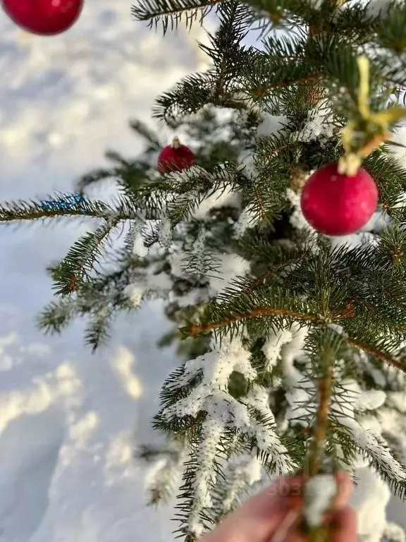 Дом в Тверская область, Кашинский муниципальный округ, д. Семеновское ... - Фото 2