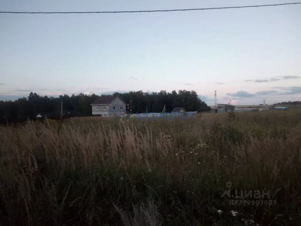 Участок в Нижегородская область, Нижний Новгород с. Шава, ул. ... - Фото 2