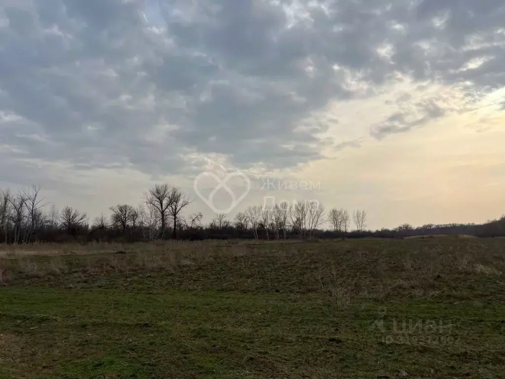 Участок в Волгоградская область, Среднеахтубинский район, Фрунзенское ... - Фото 1