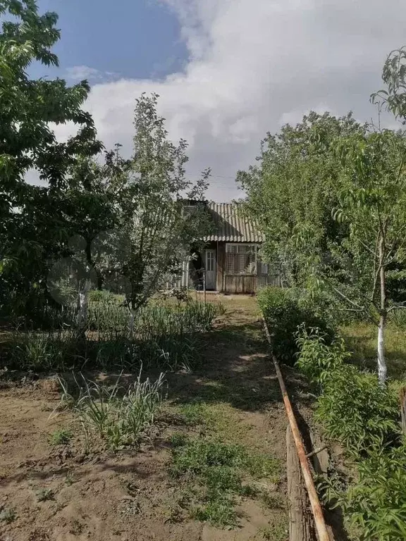 Участок 6,5 сот. (СНТ, ДНП) - Фото 1