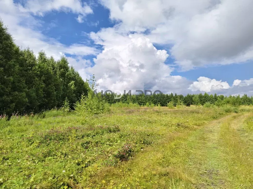 Участок в Коми, Сыктывдинский район, с. Выльгорт ул. Виталия Гилева ... - Фото 2