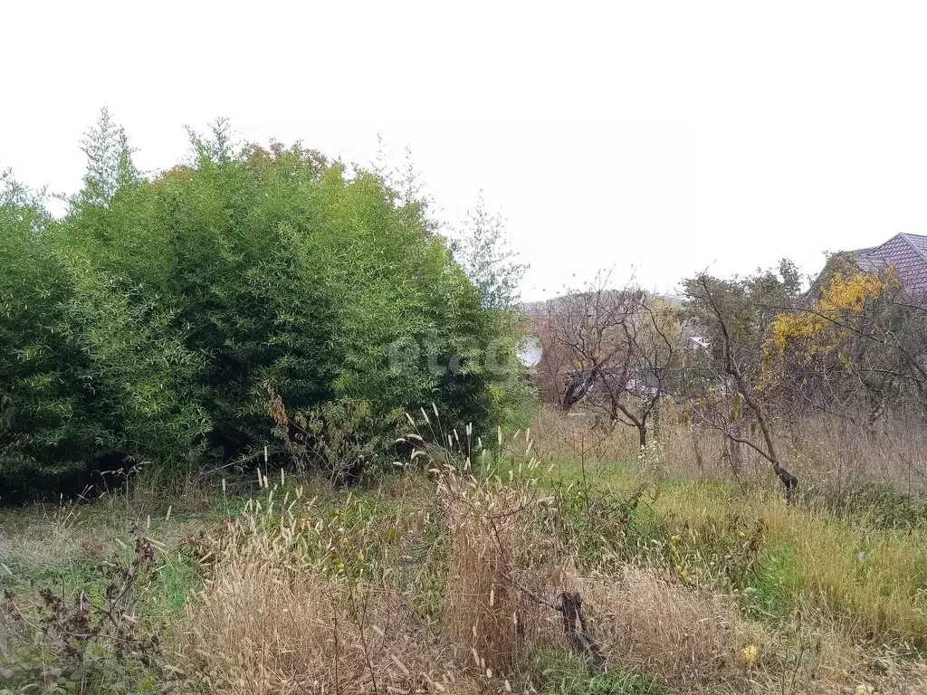 Участок в Краснодарский край, Геленджик городской округ, с. Пшада  ... - Фото 0