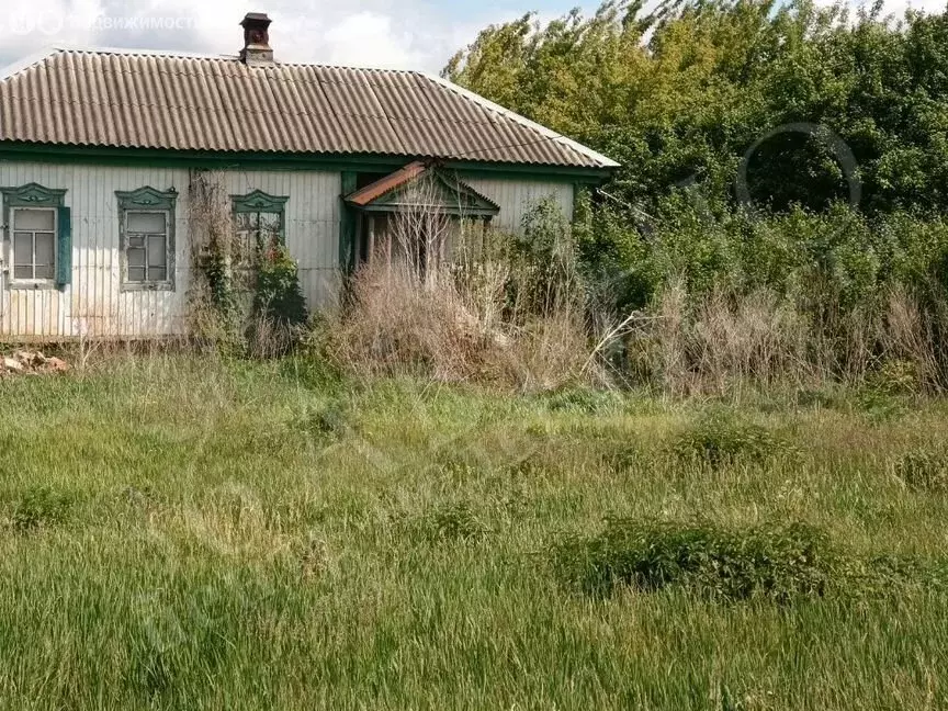 Дом в село Семёно-Александровка, улица Красная Звезда, 83 (48.8 м) - Фото 1