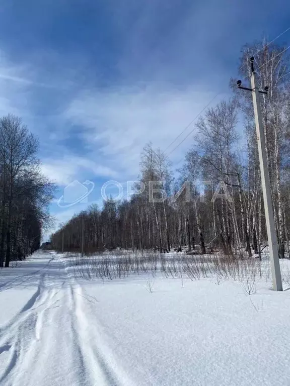 Участок в Тюменская область, Тюменский район, д. Елань 14 (8.0 сот.) - Фото 0