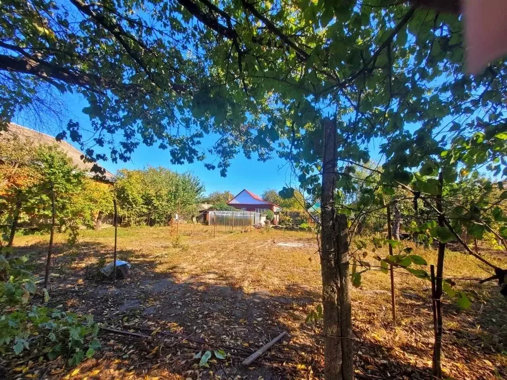 Участок в Краснодарский край, Северская ст-ца ул. Чапаева (6.0 сот.) - Фото 1