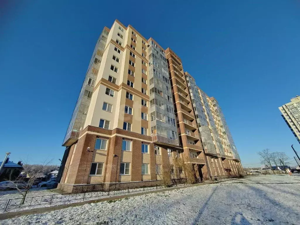 Студия Ленинградская область, Всеволожский район, Заневское городское ... - Фото 2