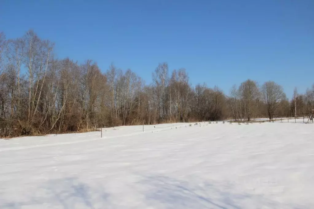Участок в Московская область, Шаховская муниципальный округ, д. ... - Фото 2