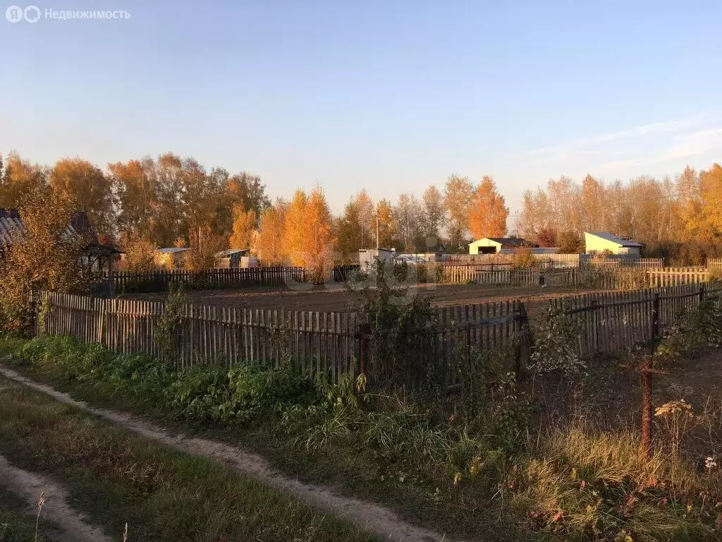 Участок в Искитимский район, Мичуринский сельсовет, СПК Восток-2, ... - Фото 1