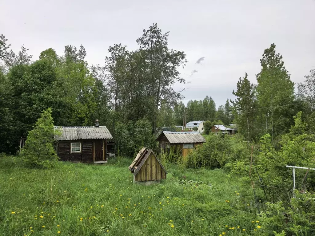 Дом в Ленинградская область, Приозерский район, Громовское с/пос, ... - Фото 2