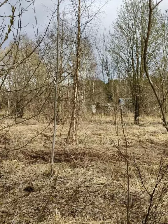 Участок в Московская область, Талдомский городской округ, д. Крияново  ... - Фото 2