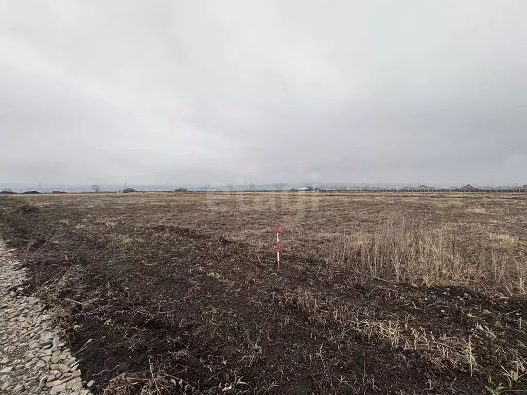 Участок в Мордовия, Лямбирский район, Берсеневское с/пос, Альтерра кп  ... - Фото 1